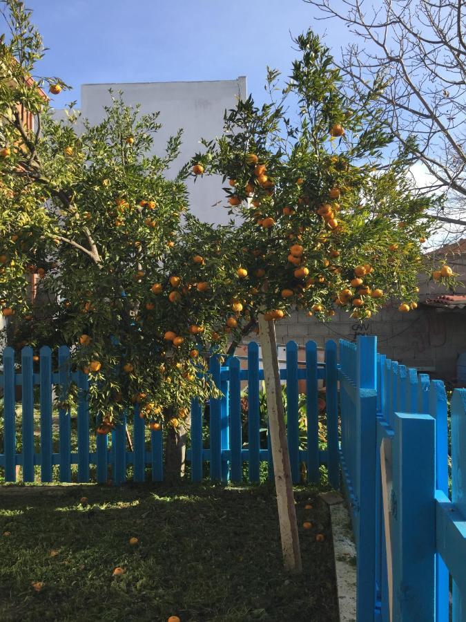 Apartamento Casa Ondina Ussana - Giardino, Wi-Fi, Aria Condizionata Exterior foto